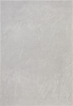 304 - Ardezie cenusie imitatie